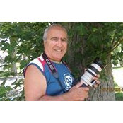 John Borg's photo