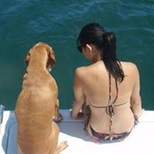 Kelly Wong's photo