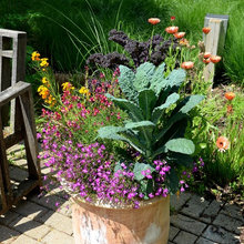 patio garden