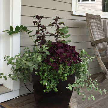Planters & WIndow Boxes