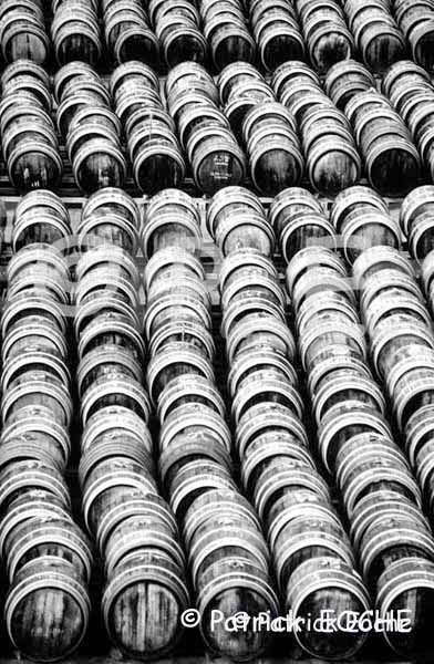 Autre sélection de la photothèque
