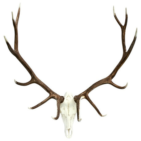 Elk European Mount