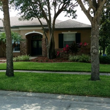 Lawn Maintenance