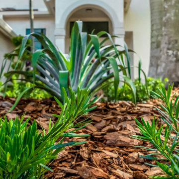 The Weston Lakes House Landscaping design.