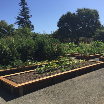 Edible Vegetable Gardens