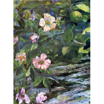 John La Farge Wild Roses, 21"x28" Wall Decal Print