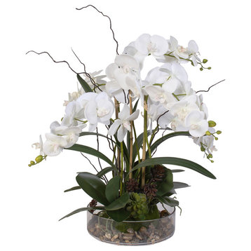 White Phalaenopsis Orchid with Succulents, Natural Rocks in a Glass Pot