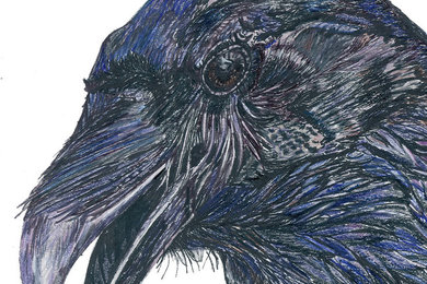 Listening to Raven by Beth Surdut, Visual Storyteller