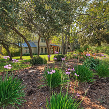 Frontyard