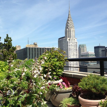 Midtown East Terrace