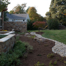 Frontyard