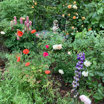 Woodland Edge Border, Surrey