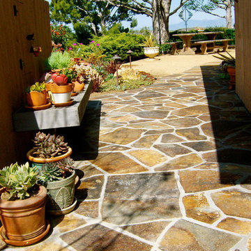 Fun filled Backyards