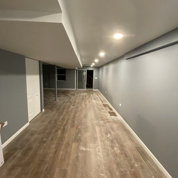 Lucille Ln Basement Remodel