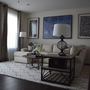 "Edgy" & Monochromatic Living Spaces- Manassas, VA