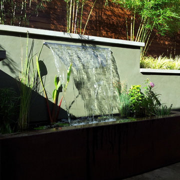 Landscape Design & Installation