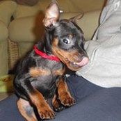 Gordana Sovulj's photo
