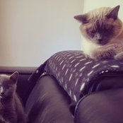 Foto von Samantha Lacharité