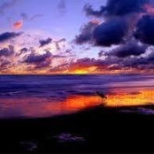Jennifer Long's photo