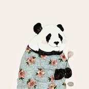 Asmaa Mahmoud's photo