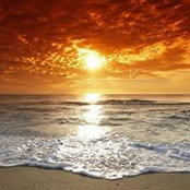 Vikki Vasilakos's photo