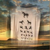 Elizabeth Bloom's photo