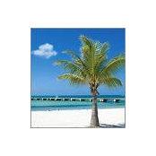 Leanne Cunningham's photo