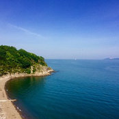 tokudaguri's photo