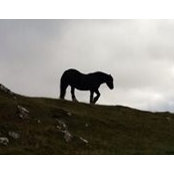 Foto von Sandra Kerns
