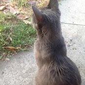Angela Toribio's photo
