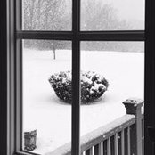 Morgan Nicastro's photo