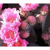 Maris Huls's photo