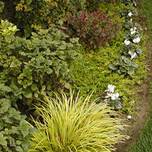 gardening
