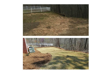 Yard Redesign Before/After