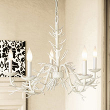 dana_forrester's Ideas
