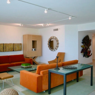 Modern Florida Condo Renovation