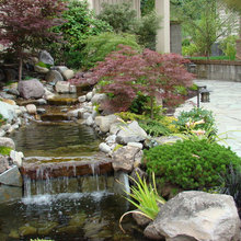 WATER feature Ideas