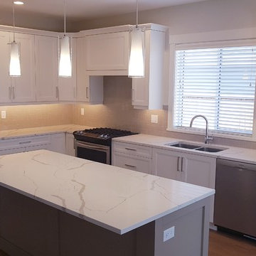 Statuario Elegante Quartz Countertops