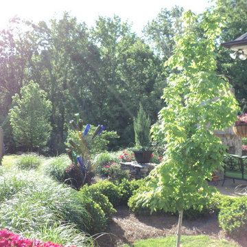 Outdoor Oasis