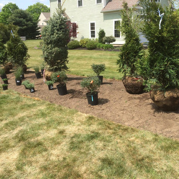 Perennial border planting, before
