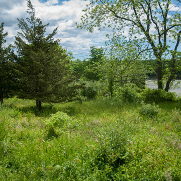 Plant a Native plant garden