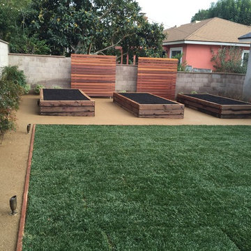 Mid Town Ventura Back Yard