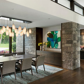 Sunfish Lake Modern