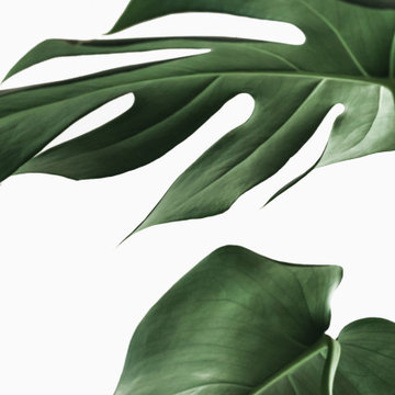 Profile Images
