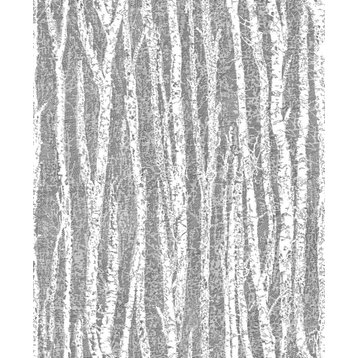 Toyon Black Birch Tree Wallpaper Bolt
