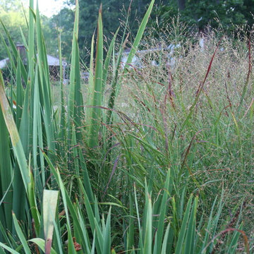 Residential Landscapes