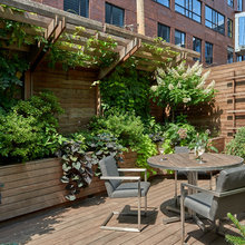 Backyard Porch, Patio Area, and Landscaping