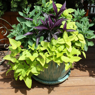 Wisteria & Rose roof deck designs. Visit www.wisteriaandrose.com for more info!