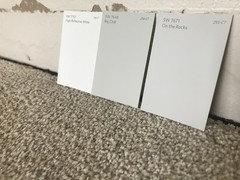 Paint color- beige carpet, gray walls?