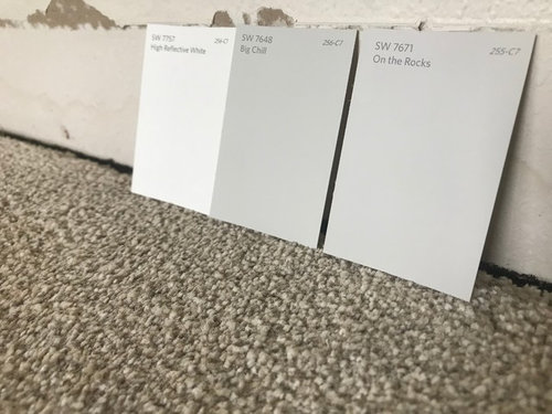 Paint Color Beige Carpet Gray Walls - Gray Paint With Beige Carpet